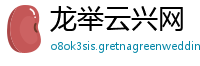 龙举云兴网